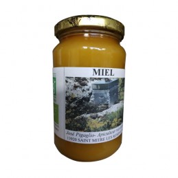 Miel Garrigues 500G